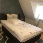 Messeapartment Agancy Ffm 公寓 美因河畔法兰克福