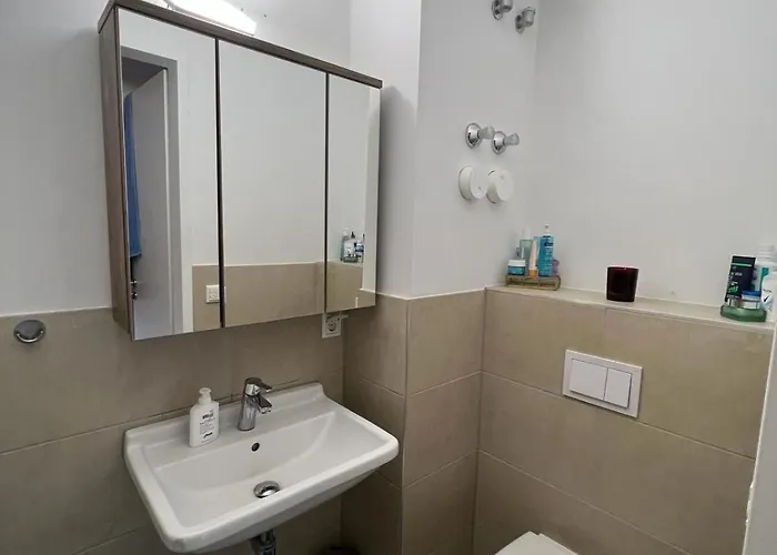 公寓 Messeapartment Agancy Ffm